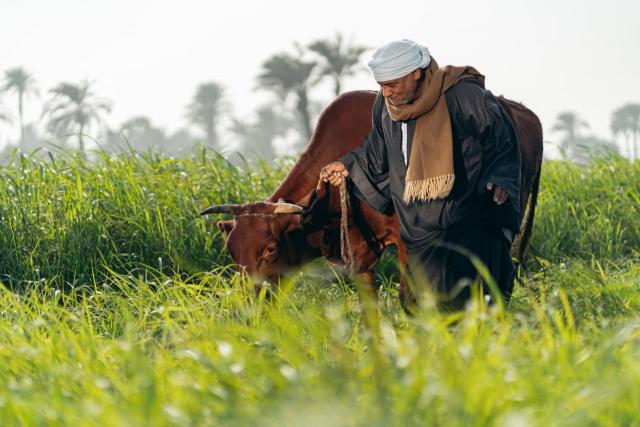 جريدة جماهير
