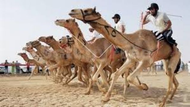 جريدة جماهير