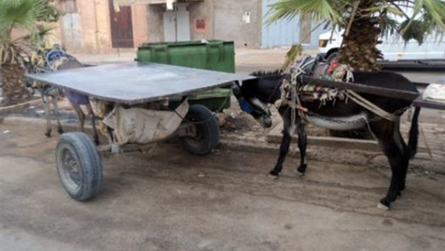 جريدة جماهير