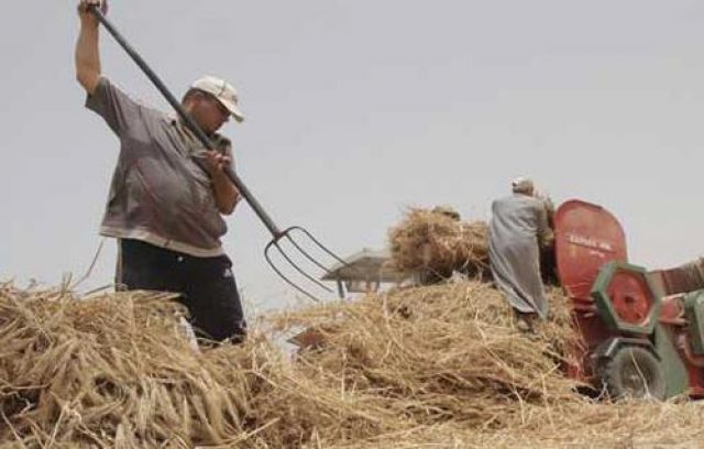 جريدة جماهير