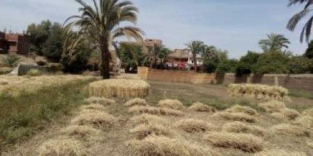 جريدة جماهير
