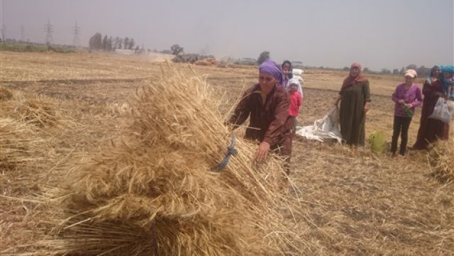 جريدة جماهير