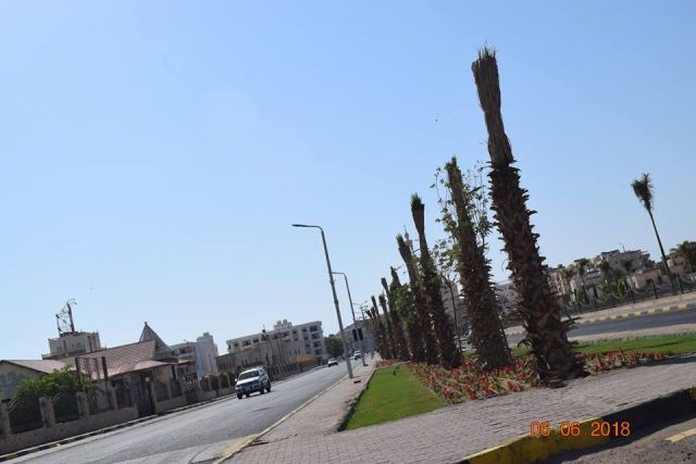 جريدة جماهير