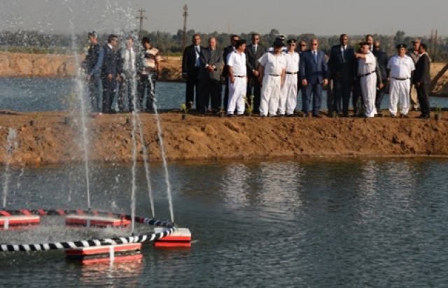 جريدة جماهير
