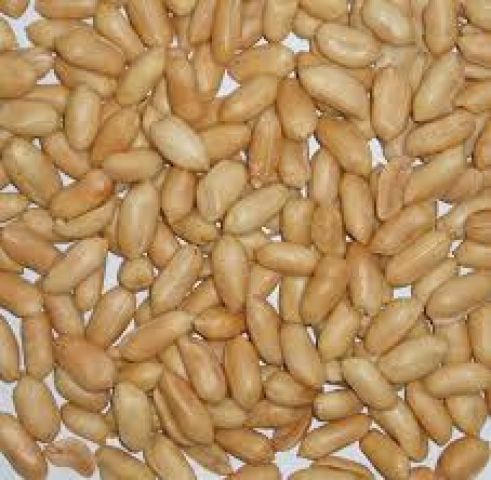 جريدة جماهير