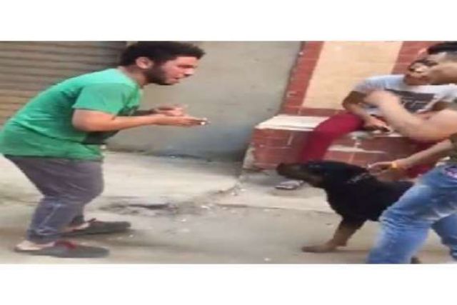 جريدة جماهير