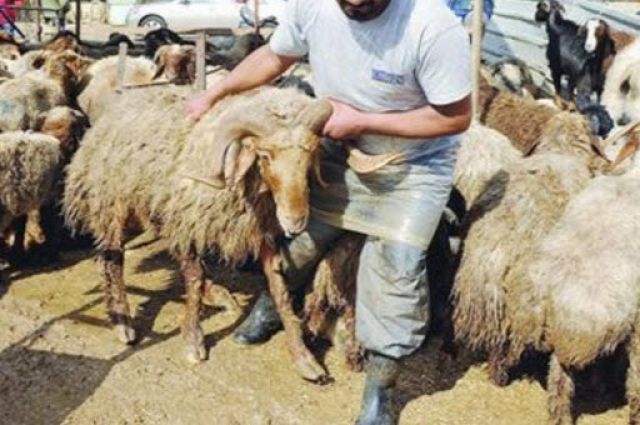 جريدة جماهير