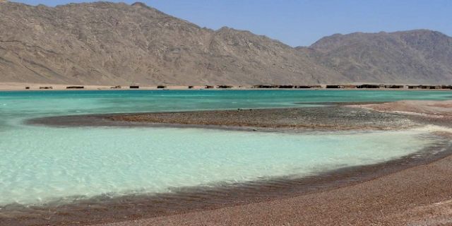 جريدة جماهير