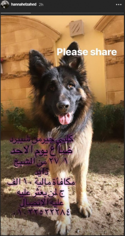 جريدة جماهير