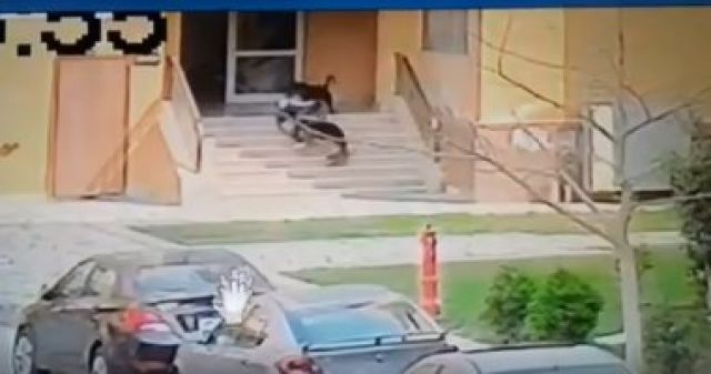 جريدة جماهير