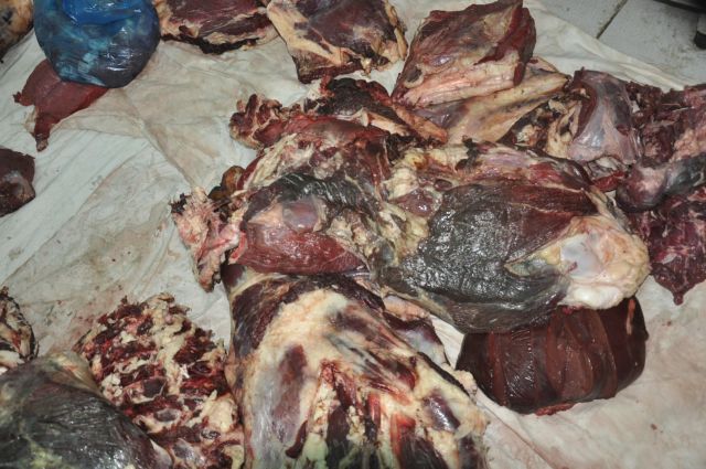 جريدة جماهير