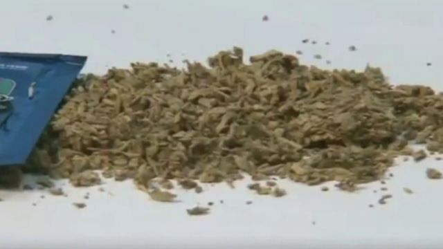 جريدة جماهير