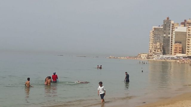 جريدة جماهير