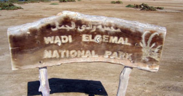 جريدة جماهير