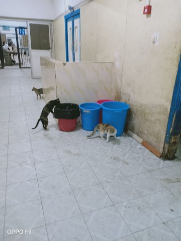 جريدة جماهير
