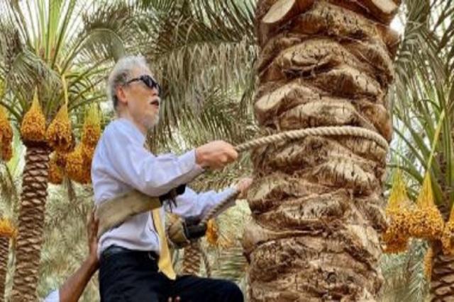 جريدة جماهير
