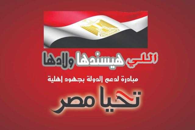 ”اللي هيسندها ولادها” مبادرة أهلية جديدة لدعم الدولة المصرية