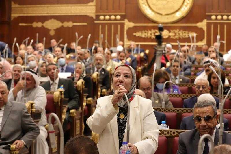 النائبة حياة خطاب: ندعم قرارات الرئيس السيسي تجاه القضية الفلسطينية