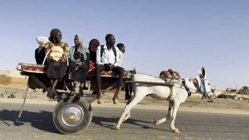 أصداء السودان تتردد في مهرجان الدوحة السينمائي 2025 في عرض مميز للأفلام والموسيقى الحيّة