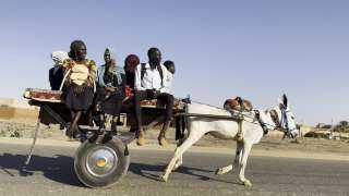 أصداء السودان تتردد في مهرجان الدوحة السينمائي 2025 في عرض مميز للأفلام والموسيقى الحيّة