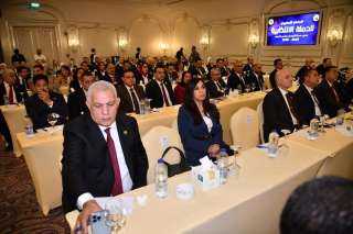 محمد يحيى كليب مرشح أبو النمرس والحوامدية يشارك في مؤتمر حماة الوطن لمجلس النواب