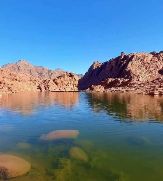 سانت كاترين تستقبل 497 زائرا من مختلف الجنسيات.. وانتعاش السياحة الدينية