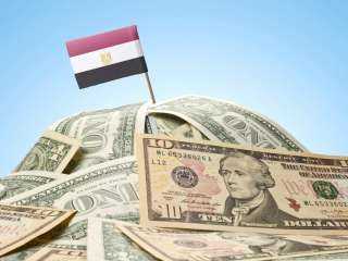 41 مليار جنيه للتجارة..أين يضخ المصريون أموال التمويل متناهى الصغر؟