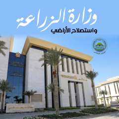 بشرى لـ4700 طبيب بيطري.. الزراعة تستعد لإتمام التعاقد وتكشف تفاصيل المرحلة المقبلة