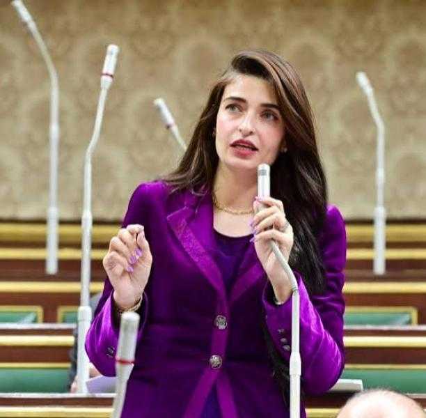 «مش كل تحليل إيجابي معناه تعاطي».. إيرين سعيد تطالب بإنصاف موظفين فُصلوا بسبب تحليل المخدرات