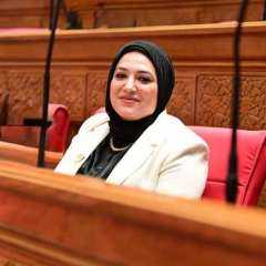 المستشفيات الحكومية في مرمى المتابعة.. تحرك برلماني لتشكيل لجان ميدانية بالمحافظات