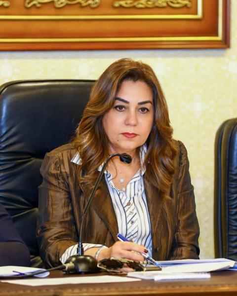 أعلنت الدكتورة منال عوض وزيرة التنمية المحلية والبيئة