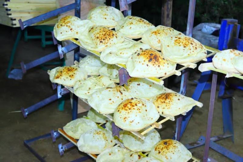 الخبز السياحي الحر