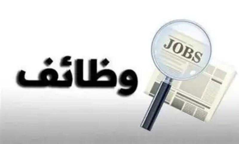 فرص عمل جديدة بالإسكندرية.. 30 وظيفة برواتب تصل إلى 15 ألف جنيه