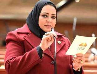 مقعد أماني أبو سحلي بعد رحيلها.. هل تدخل ابنتها ديانا مجلس النواب؟