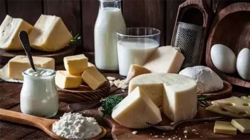 أسعار الألبان