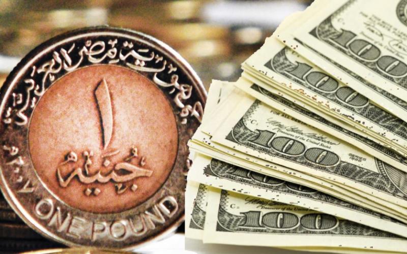 سعر الدولار 