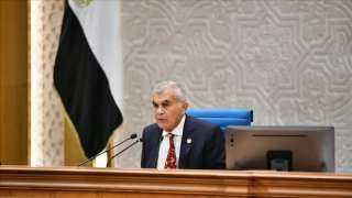 رئيس مجلس الشيوخ: مصر تقف إلى جوار أشقائها العرب درعًا يصون لا سيفًا يعتدي