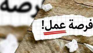وظائف وزارة العمل 2026 برواتب تصل إلى 10500 جنيه وشروط التقديم