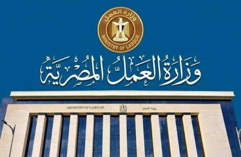 شغل بمرتب يوصل لـ11 ألف جنيه.. وزارة العمل تعلن عن 40 فرصة عمل في الأمن والحراسة