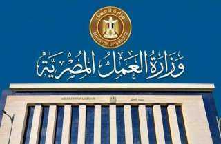شغل بمرتب يوصل لـ11 ألف جنيه.. وزارة العمل تعلن عن 40 فرصة عمل في الأمن والحراسة