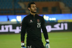 محمد الشناوى 