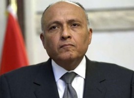 سامح شكرى 