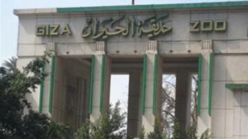 حديقة حيوان _أرشيفية