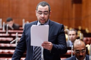 النائب محمد فؤاد 