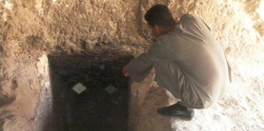 ارشيفية 
