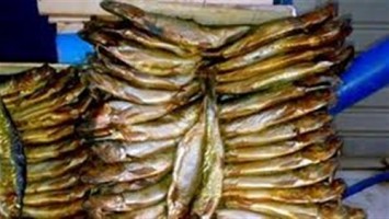 رنجة فاسدة